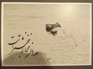 NaturKalligrafie 078