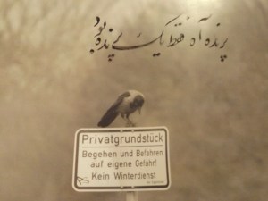 NaturKalligrafie 090