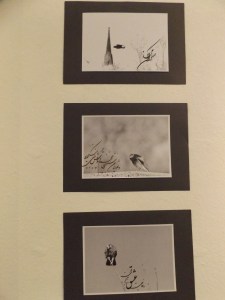 NaturKalligrafie 093