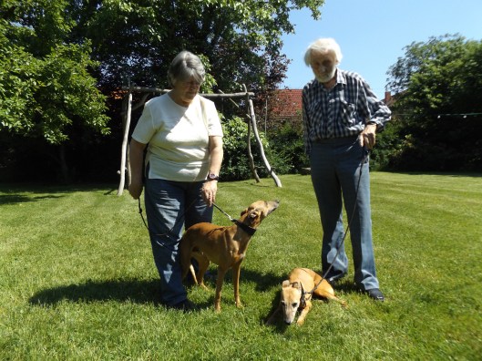 EHFAbendhimmelMohn 068